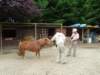 dscf0049_small.jpg