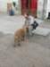 dscf0049_small.jpg
